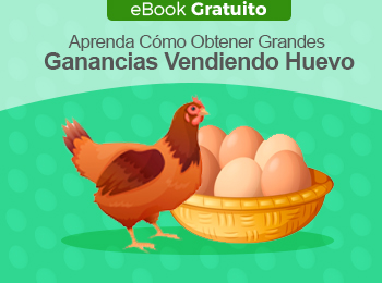 eBook Gratuito: Aprende Cómo Obtener Grandes Ganancias Vendiendo Huevo